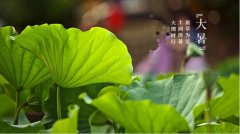 苦夏怎么过?爱灸堂告诉你的应该这么做。。。