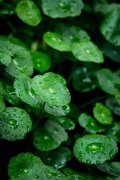 积累一夏的湿气怎么办?一定要在秋天祛除,冬