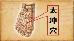 【艾灸穴位图,艾灸穴位图解,艾灸穴位图示范】灸十二原穴,几乎可治全