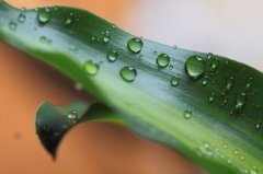 常灸4大“补水穴”,远离秋季干燥!