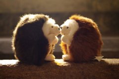 立冬:第一个补肾日,艾灸点把“火”!