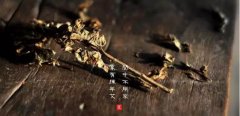 艾灸调病要点:急病要早,陈年老病要恒!
