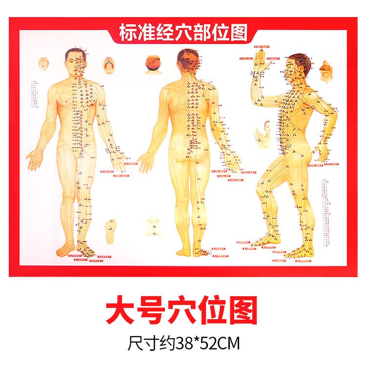 艾灸穴位图