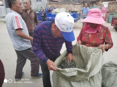 做『 好艾条 』必不可少的一道工序,你一定想不到!