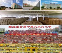 爱灸堂用300多个案例告诉你艾灸养生馆该怎么做?